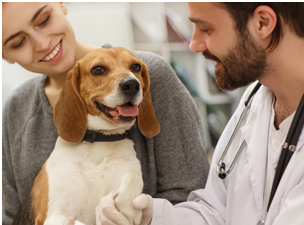 Buy and Sell Veterinarian Clinics